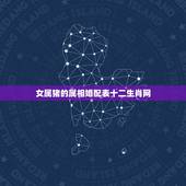 女属猪的属相婚配表十二生肖网，属猪的人和什么属相最配 属猪的属相婚配表