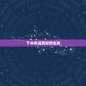 下半年运势好的生肖，准，十二生肖年底运势大揭秘，哪个生肖的财运最好