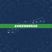 未来两周姻缘感情运势，婚姻生活运势