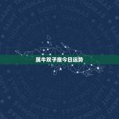 属牛双子座今日运势，属牛双子座2010年运势