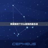 男属猴找个什么属相的最合适，男猴配什么属相更好