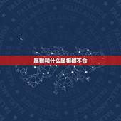 属猴和什么属相都不合，属猴的人和属什么的不合