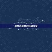 属牛小孩的小名字大全，名字大全