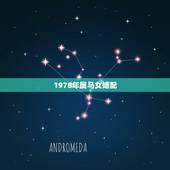 1978年属马女婚配，1978年的马最佳配偶是什么属相