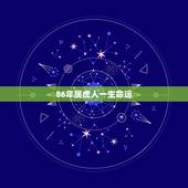 86年属虎人一生命运，属虎的1986年6月14日晚上12点出生的命运怎
