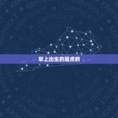 早上出生的属虎的，属虎什么时辰出生好