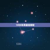1999年男最佳婚配，1999年兔男的最佳婚姻配对是