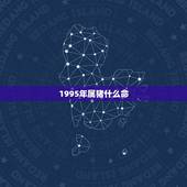 1995年属猪什么命，属猪的1995年是什么命