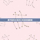 庚子鼠年己丑月乙丑日轮值属相，12生肖后顺序