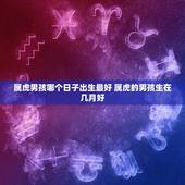 属虎男孩哪个日子出生最好 属虎的男孩生在几月好