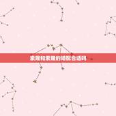 索隆和索隆的婚配合适吗，怎么样嫁给索隆？