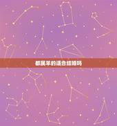 都属羊的适合结婚吗，属羊的两人在一起结婚