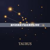 属牛的男孩子起名用什么字好，属牛男孩最吉利的名字