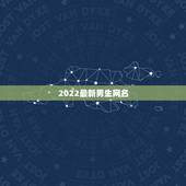 2022最新男生网名，2021年最新男生网名
