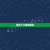 客厅十大镇宅植物，客厅最适合养什么植物
