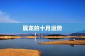 属龙的十月运势，属龙人2021年运势运程每月运程