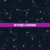 属牛的配什么属相最配，属牛的和什么最配