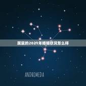 属鼠的2021年婚姻状况怎么样 再过一周事业运好的星座