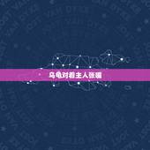 乌龟对着主人张嘴，我的小乌龟不停向我张嘴，什么意思？