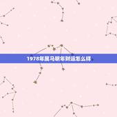 1978年属马明年财运怎么样，2022 年属马人全年运势
