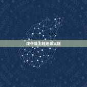戊午是土旺还是火旺，戊午年是什么命
