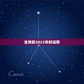 生肖蛇2022年的运势，2022年属蛇人的全年运势