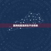 属狗和属龙的合不合得来，属龙的和属狗的合不合