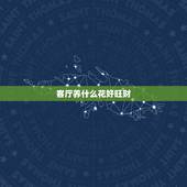 客厅养什么花好旺财，家里客厅养什么花好？