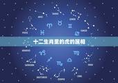 十二生肖里的虎的属相，十二生肖虎的来历？