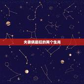 夫妻俩最旺的两个生肖，生肖龙和什么生肖最配