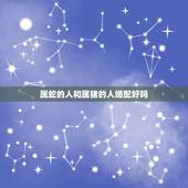 属蛇的人和属猪的人婚配好吗，属猪配属蛇更佳