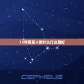 72年属鼠人做什么行业最好，属鼠的今年适应做生意吗72年？