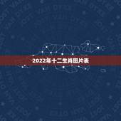 2022年十二生肖图片表，十二生肖卡2022 完整图片