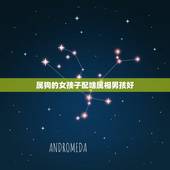 属狗的女孩子配啥属相男孩好，属相合适的人在一起会幸福，属狗的女生和什么