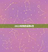 2022年狗的运势6月，属狗的2022年运势和财运怎么样