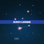 属虎和什么属相最配，属鼠女的和什么属相最配