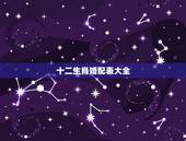 十二生肖婚配表大全，最准的12生肖配对表？