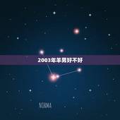 2003年羊男好不好，2003属羊男一生大坎