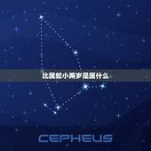 比属蛇小两岁是属什么，比牛小4岁属什么的