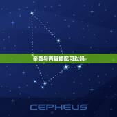 辛酉与丙寅婚配可以吗，辛酉年申时生与丙寅年戌时生能婚配吗