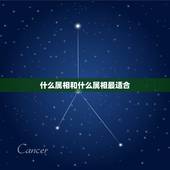 什么属相和什么属相最适合，属龙的和什么属相最配最合适呢？