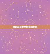 属龙和属龙的婚姻相配吗，男龙女龙相配吗