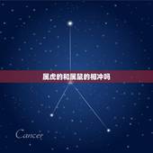 属虎的和属鼠的相冲吗，属虎人与属鼠人相生相克吗