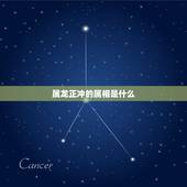 属龙正冲的属相是什么，属龙相冲的三个属相