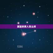 属鼠的男人怎么样，属鼠的男人命好不好