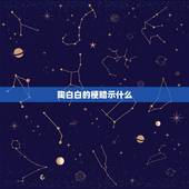 陶白白的梗暗示什么，陶白白什么梗？