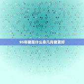95年猪是什么命几月猪更好，木猪命缺什么