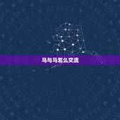 马与马怎么交流，怎样同43岁的马女聊天