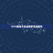 1975属兔今日运势梦见进超市，1975年属兔的人最佳的生意伙伴生肖属