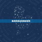 属虎的幸运花和旺财花，属虎和什么属相合财